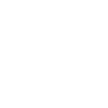 Transport Specialist Icon