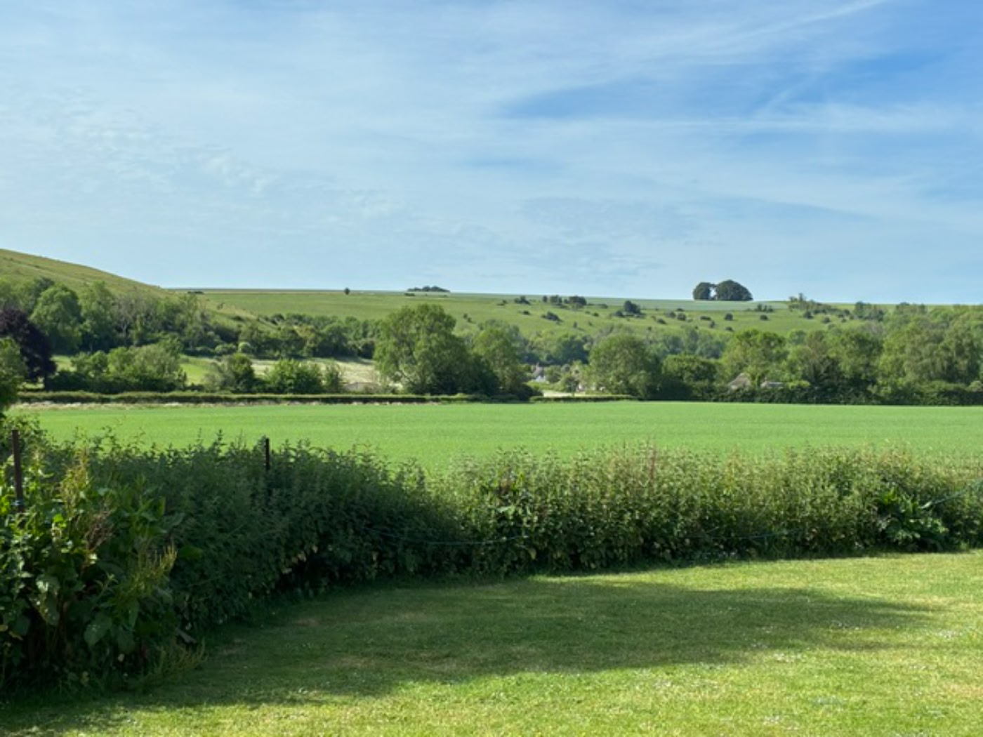 manor farm