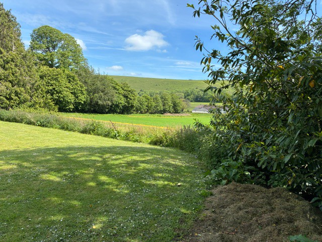 nature