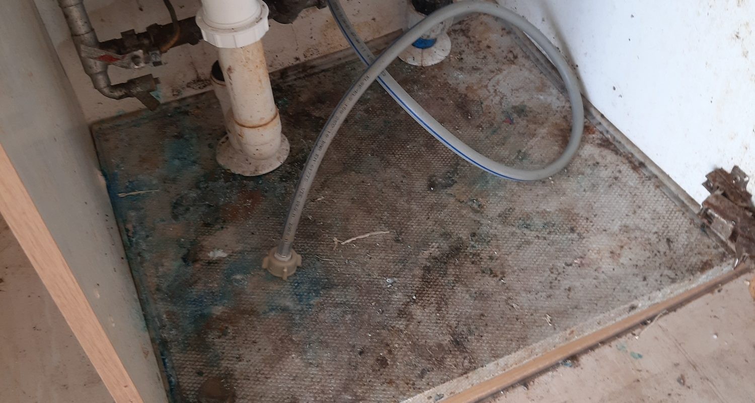 Mouldy under sink cupboard