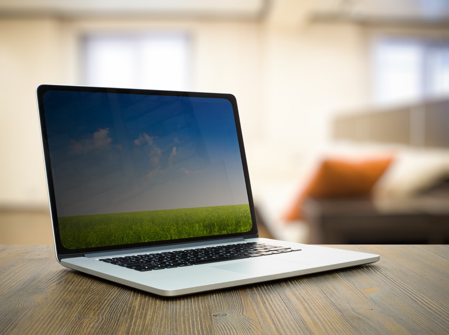 laptop displaying field and sky landscape