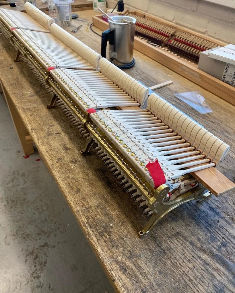 Hamburg steinway o hammers finished