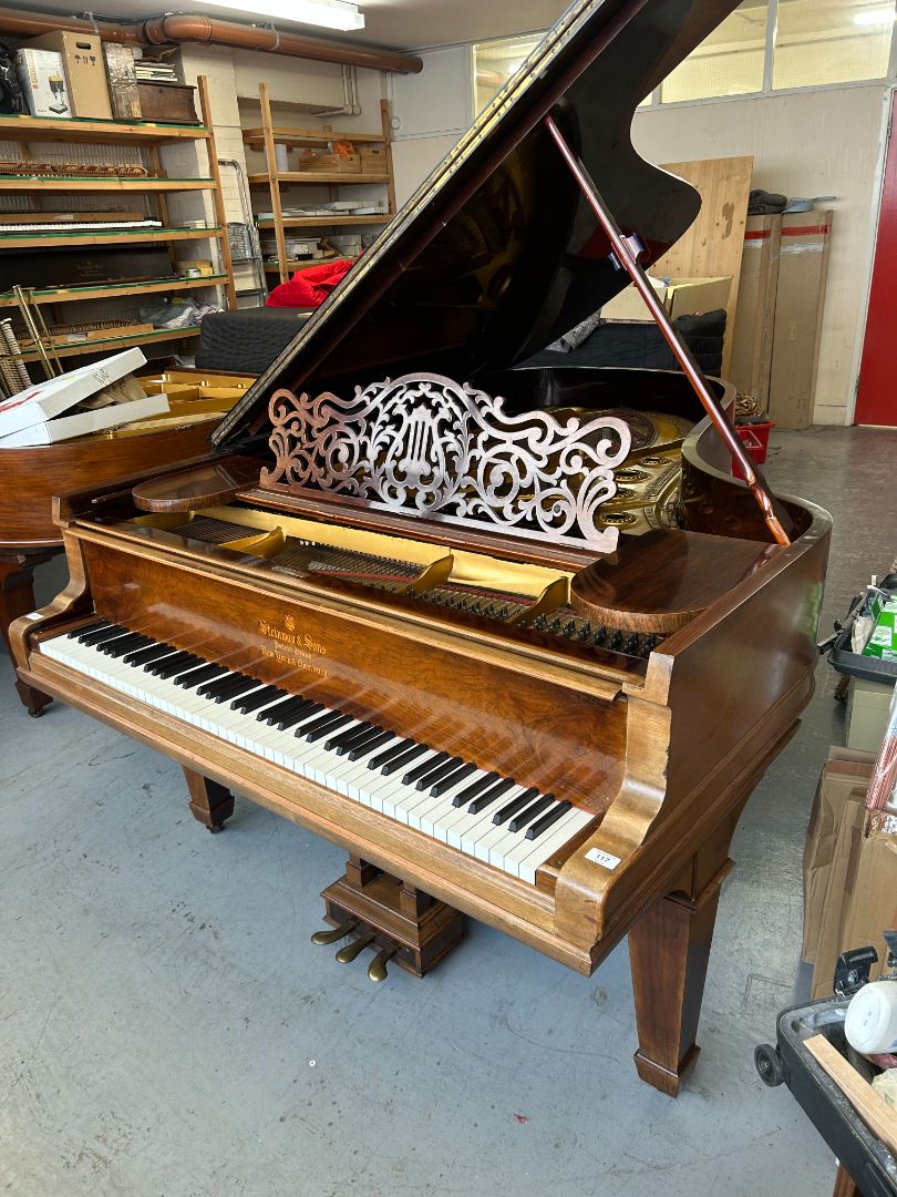 Luxury piano