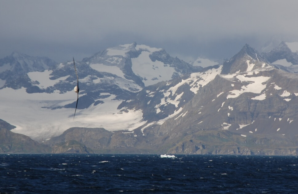 South Georgia is the jewel in the crown for a cruising yacht adventure in the polar regions for small yachts and superyachts alike. To explore and enjoy polar areas, north and south to their greatest extent a motor or sailing explorer expedition yacht design.