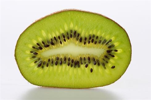 A macro shot of a slice of kiwi on white, lighted from behind, great texture and detail