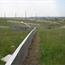 Newt Fencing 