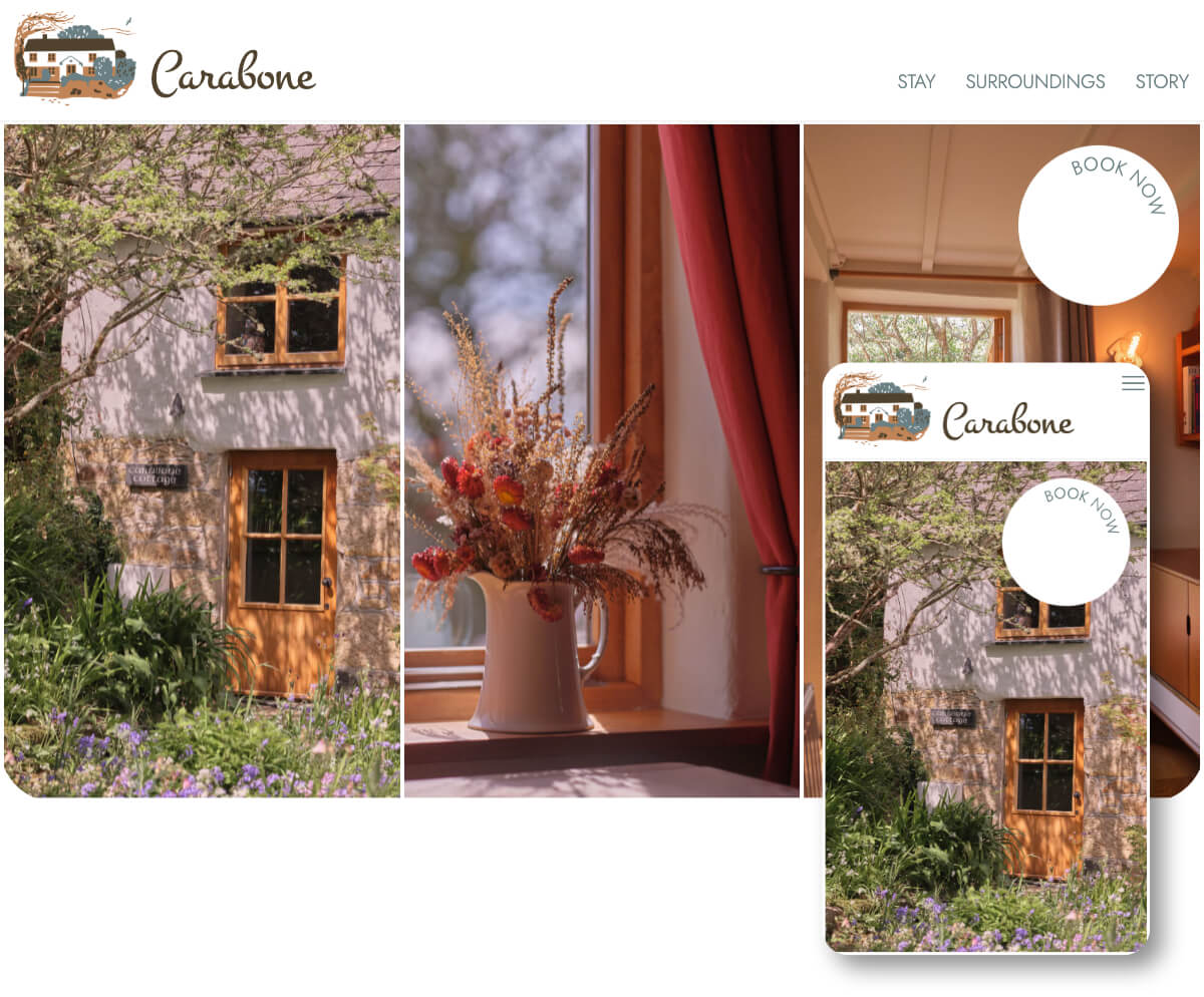 Carabone | Toolkit Websites Portfolio