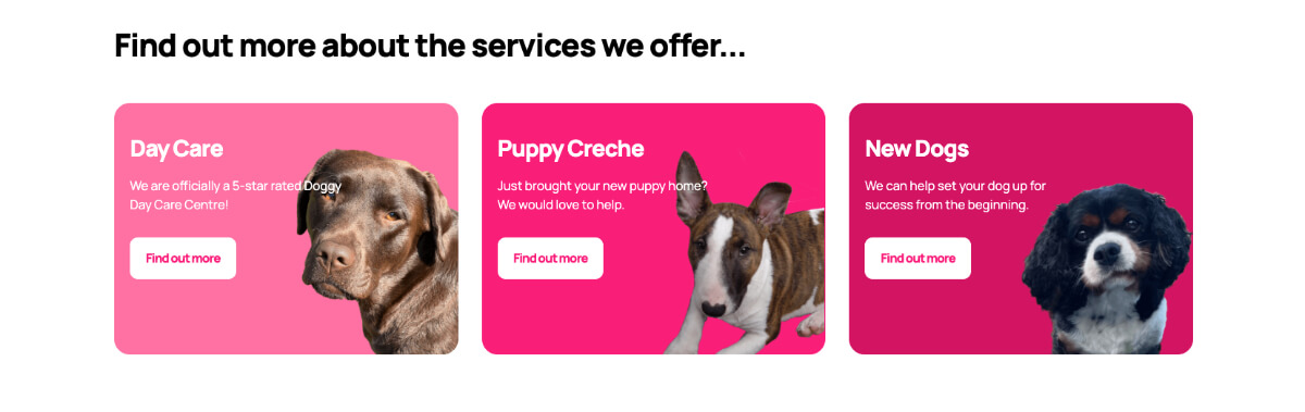 Claire's Comfy Canines website colours screenshot
