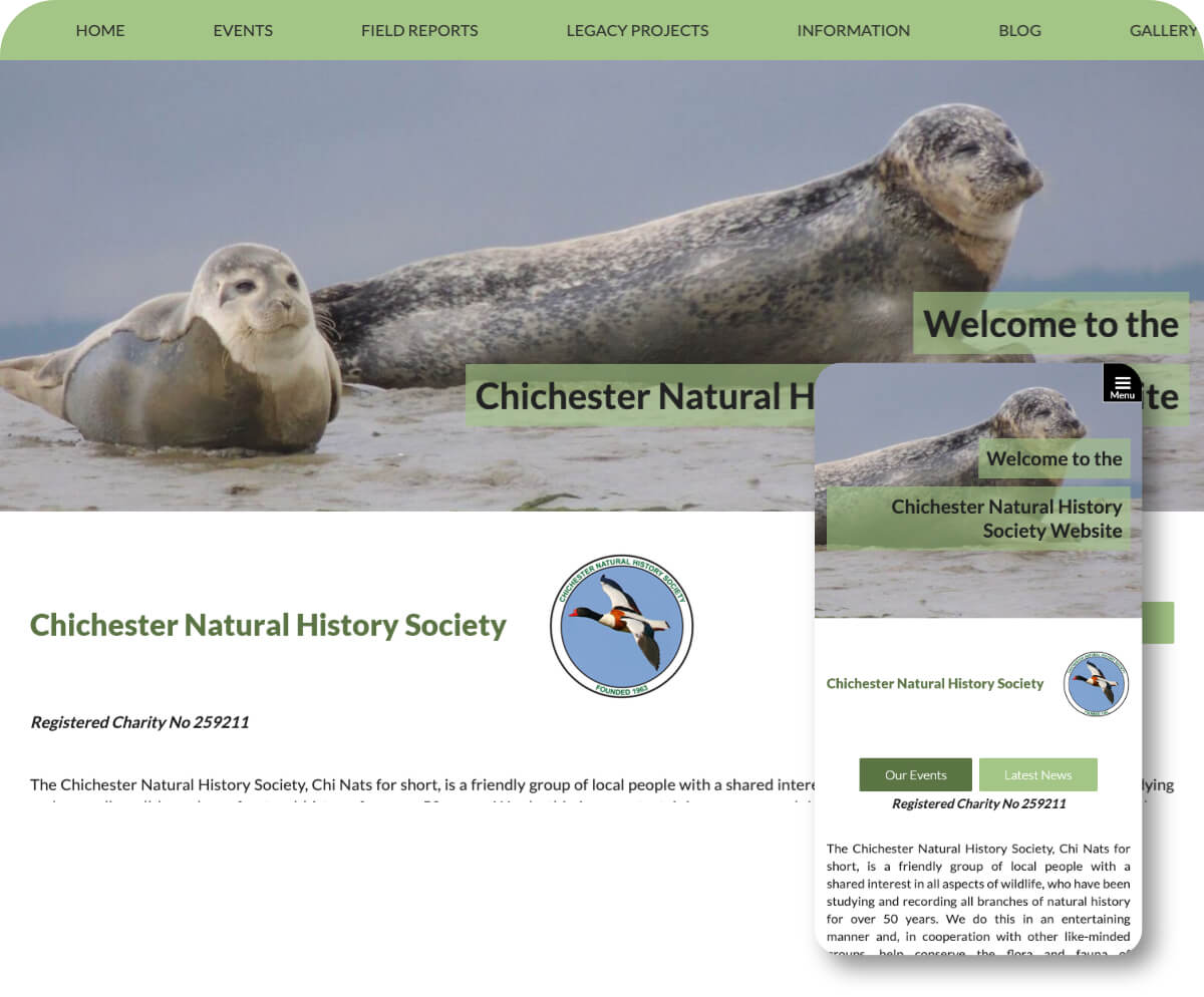 Chichester Natural History Society | Toolkit Websites Portfolio