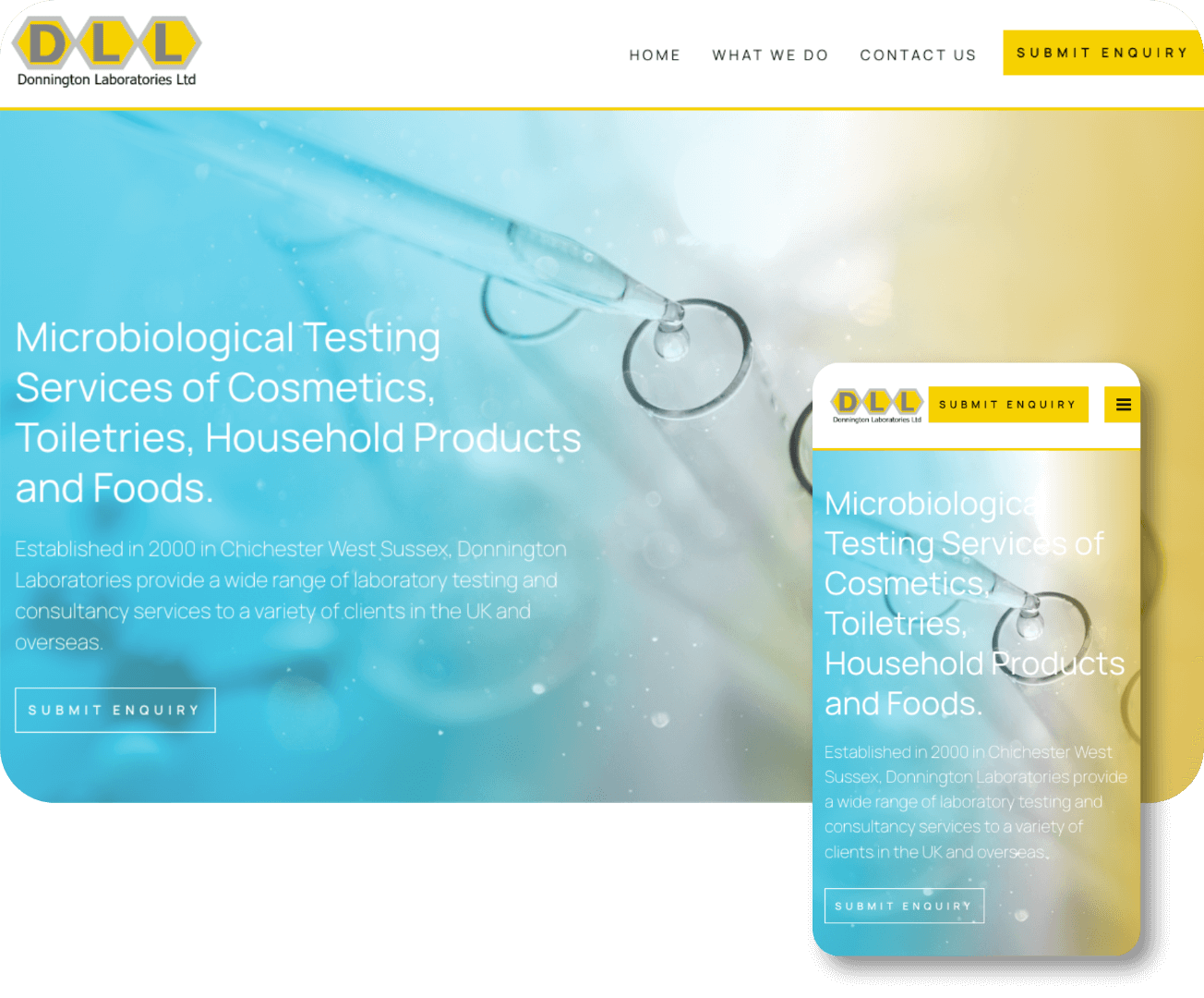 Donnington Laboratories LTD | Toolkit Websites Portfolio