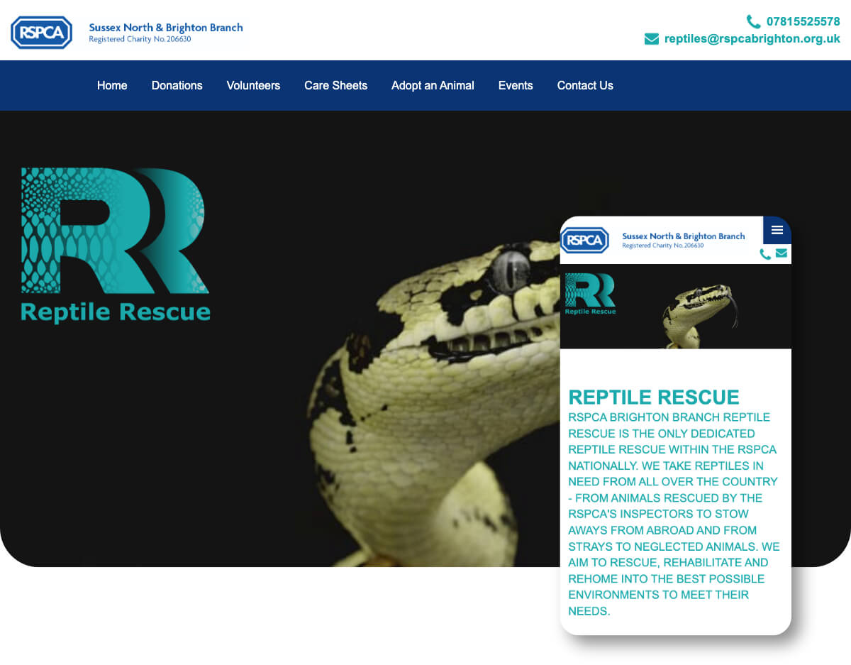 RSPCA Brighton Reptile Rescue | Toolkit Websites Portfolio