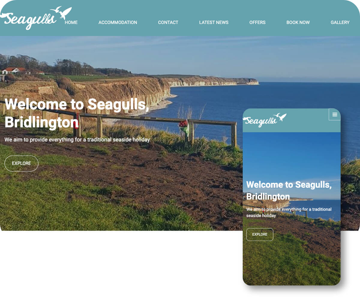 Seagulls Bridlington | Toolkit Websites Portfolio