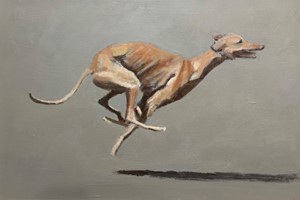 Greyhound
Acrylic on Board
35 x 50 cms
POA