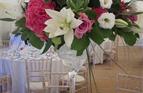 Summer Martini Vases, Marquee.