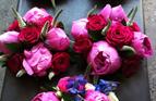 Hot pink and navy theme.